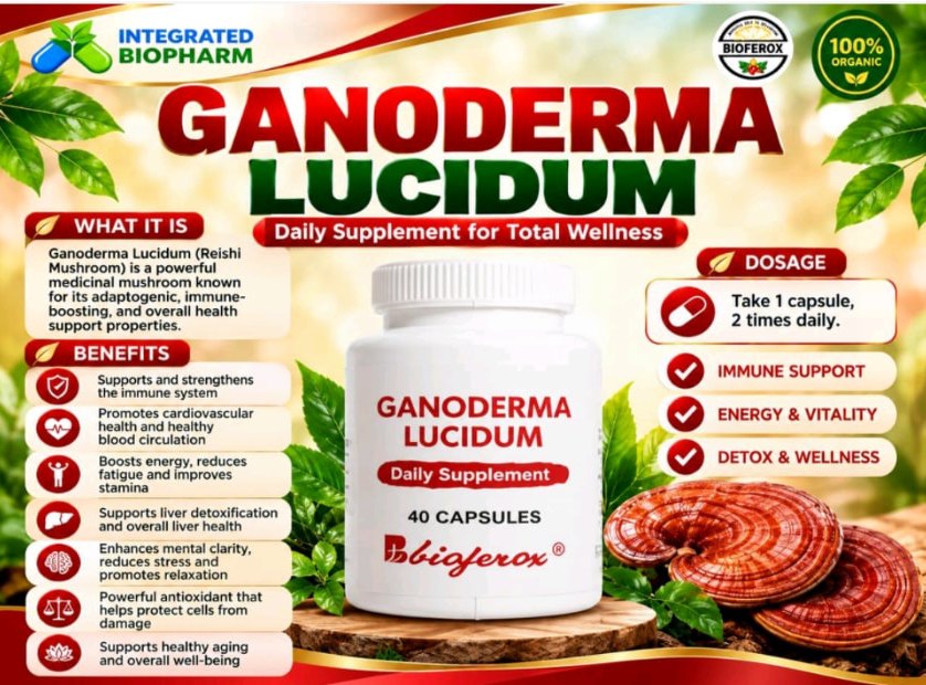 Ganoderma Lucidum Capsule product infographic